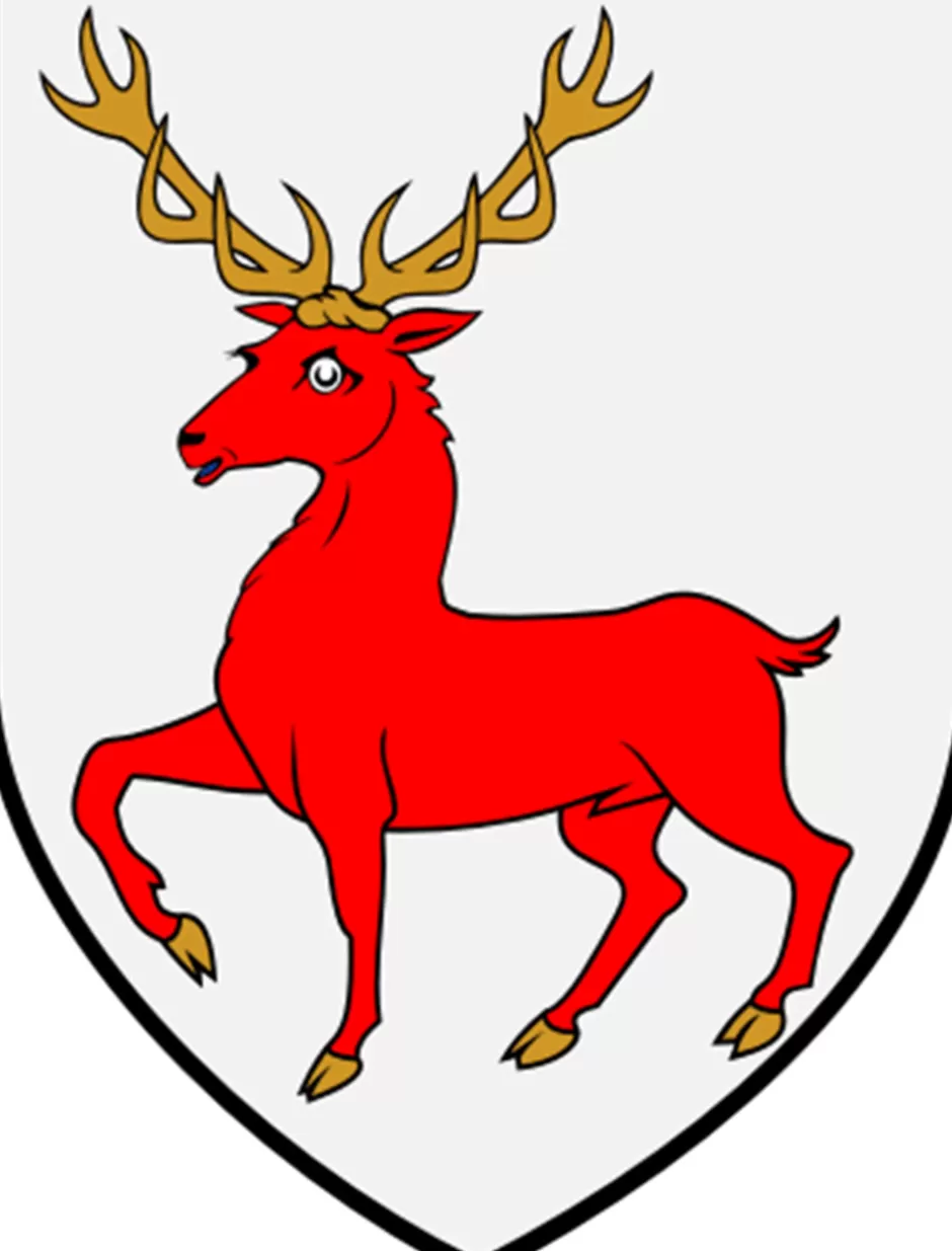 mc_carthy_knitting_kit_10.webp Clan Knitting Patterns And Kits<Glenaran Mc Carthy Knitting Kit